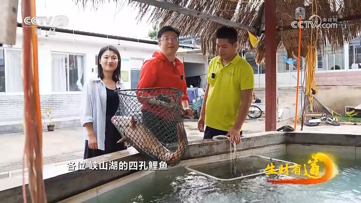 央视镜头聚焦峡山湖有机鱼：解码水清鱼跃的生态发展密码